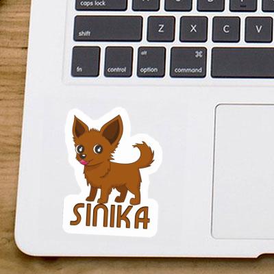 Sticker Chihuahua Sinika Notebook Image