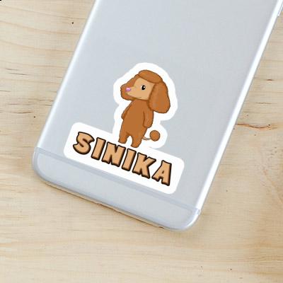 Pudel Sticker Sinika Laptop Image