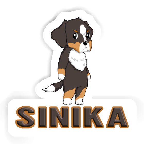 Sticker Bernese Mountain Dog Sinika Gift package Image