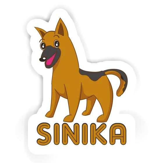 Chien de berger Autocollant Sinika Gift package Image