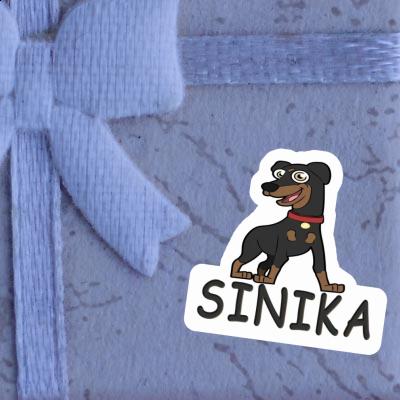 Pinscher Sticker Sinika Gift package Image