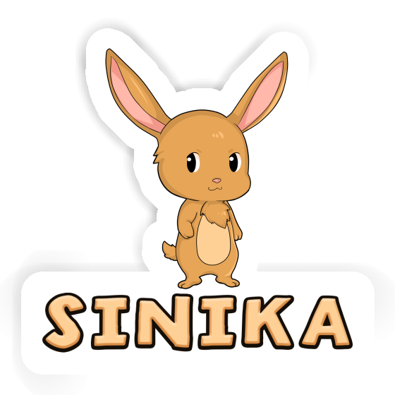 Sinika Sticker Rabbit Gift package Image