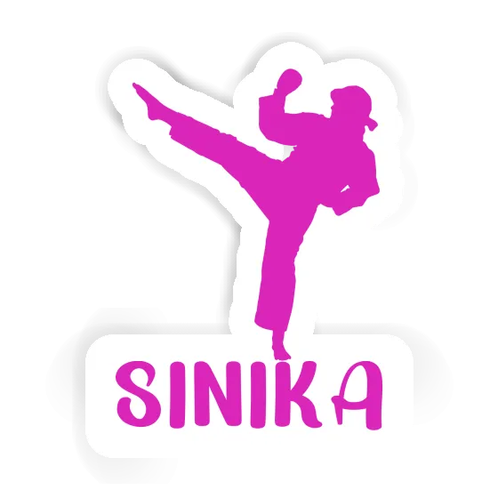 Karateka Sticker Sinika Notebook Image