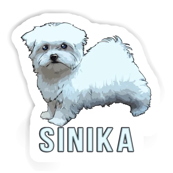 Maltese Dog Sticker Sinika Image