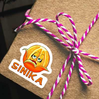 Sticker Sinika Orange Notebook Image