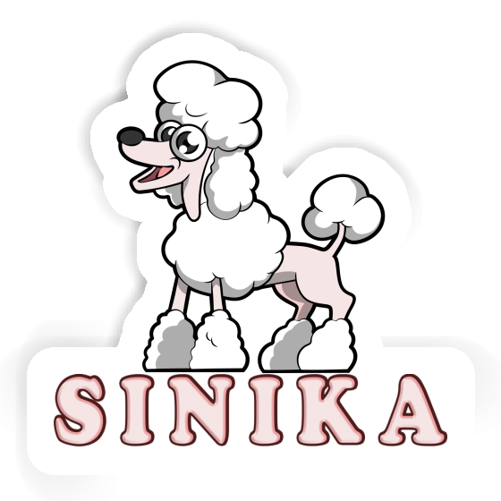 Caniche Autocollant Sinika Gift package Image