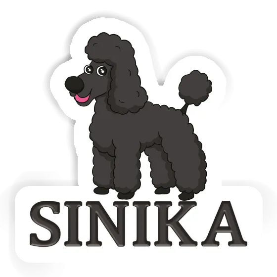 Pudel Sticker Sinika Laptop Image