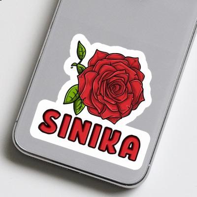 Autocollant Rose Sinika Gift package Image