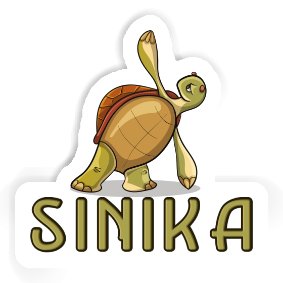 Turtle Sticker Sinika Gift package Image