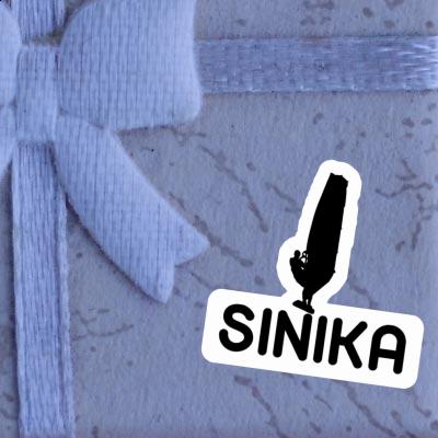 Autocollant Windsurfer Sinika Gift package Image