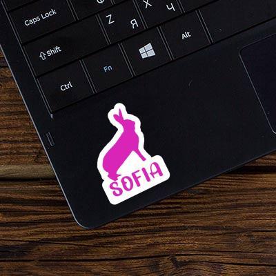 Autocollant Lapin Sofia Image