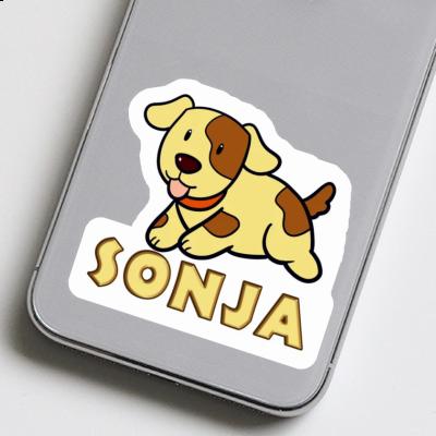 Autocollant Chien Sonja Gift package Image