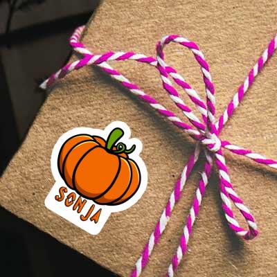 Sticker Sonja Pumpkin Gift package Image