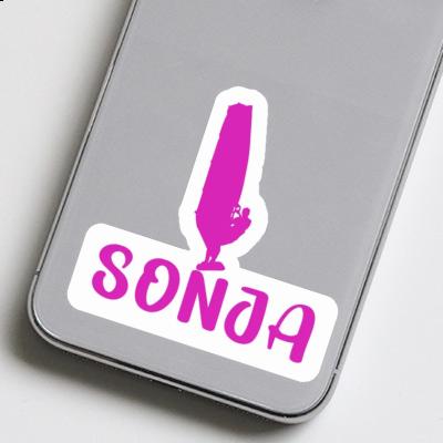 Sticker Sonja Windsurfer Laptop Sticker Sonja Windsurfer Laptop Image