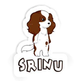 Cavalier King Charles Spaniel Sticker Srinu Image