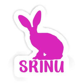 Srinu Autocollant Lapin Image