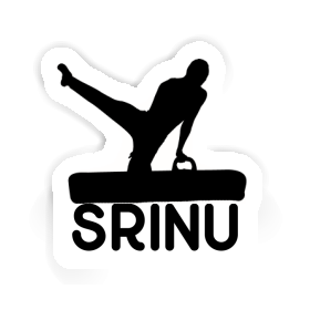 Autocollant Srinu Gymnaste Image