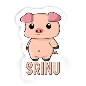 Piggy Sticker Srinu Image