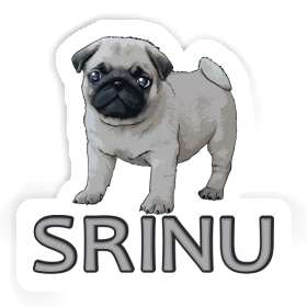 Pug Sticker Srinu Image