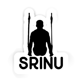 Srinu Autocollant Gymnaste aux anneaux Image