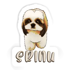 Srinu Autocollant Shih Tzu Image