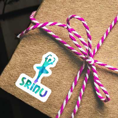 Autocollant Ballerine Srinu Gift package Image