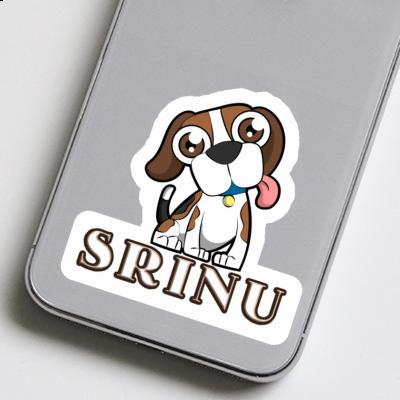 Beagle-Hund Autocollant Srinu Notebook Beagle-Hund Autocollant Srinu Gift package Image