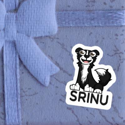 Sticker Srinu Border Collie Notebook Sticker Srinu Border Collie Notebook Image