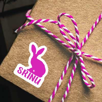 Srinu Autocollant Lapin Notebook Image