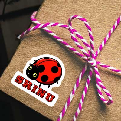 Ladybug Sticker Srinu Notebook Ladybug Sticker Srinu Gift package Image