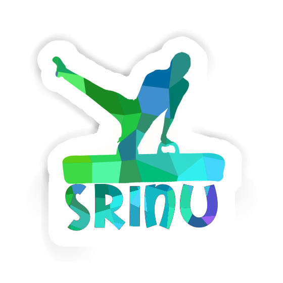Autocollant Srinu Gymnaste Notebook Autocollant Srinu Gymnaste Gift package Image