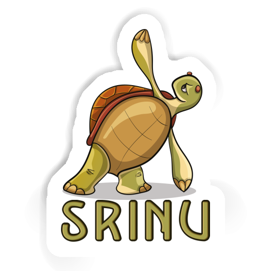 Srinu Sticker Turtle Notebook Srinu Sticker Turtle Gift package Image