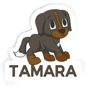 Aufkleber Sennenhund Tamara Image