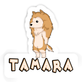 Tamara Aufkleber Collie Image