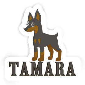 Aufkleber Pinscher Tamara Image