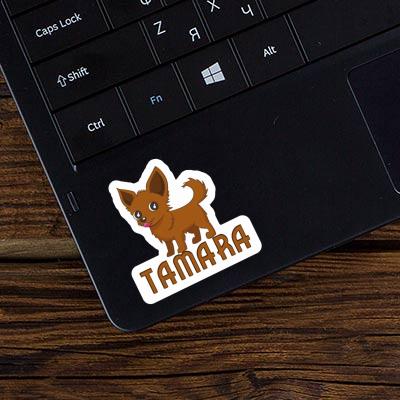 Chihuahua Autocollant Tamara Notebook Chihuahua Autocollant Tamara Gift package Image