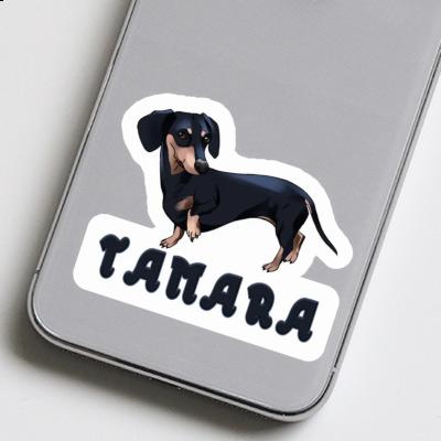 Aufkleber Tamara Dackel Gift package Image