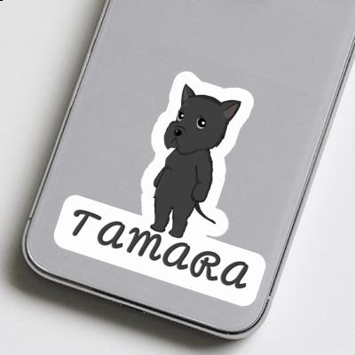 Aufkleber Riesenschnauzer Tamara Notebook Aufkleber Riesenschnauzer Tamara Gift package Image