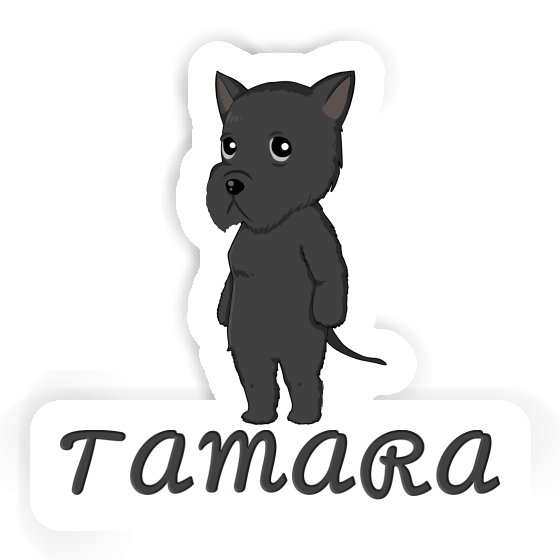 Aufkleber Riesenschnauzer Tamara Notebook Aufkleber Riesenschnauzer Tamara Gift package Image