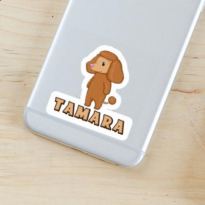 Poodle Sticker Tamara Notebook Poodle Sticker Tamara Gift package Image