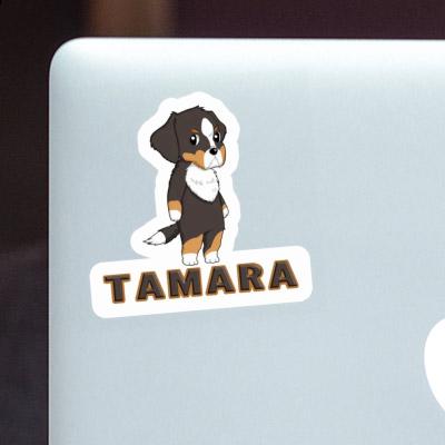 Berner Sennenhund Aufkleber Tamara Laptop Berner Sennenhund Aufkleber Tamara Laptop Image