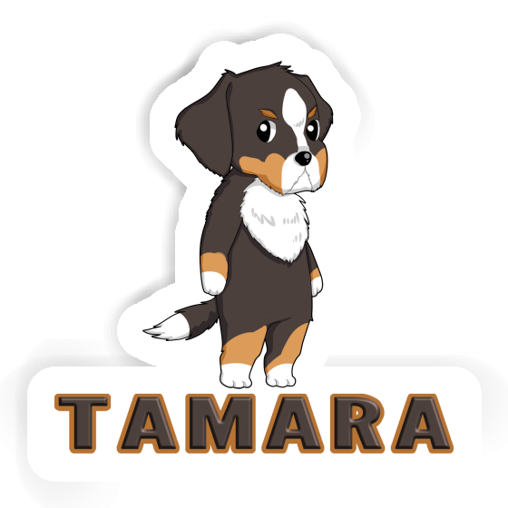 Berner Sennenhund Aufkleber Tamara Laptop Berner Sennenhund Aufkleber Tamara Laptop Image