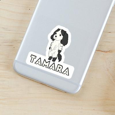 Aufkleber Tamara Spaniel Gift package Image