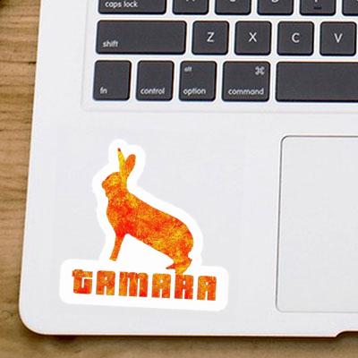 Autocollant Tamara Lapin Gift package Image