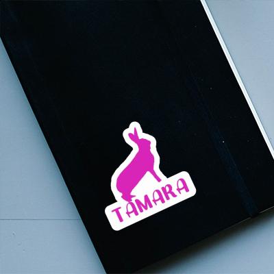 Sticker Kaninchen Tamara Gift package Image
