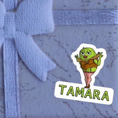 Sticker Kiwi Tamara Gift package Image