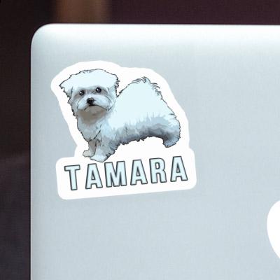 Sticker Tamara Maltese Dog Sticker Tamara Maltese Dog Image