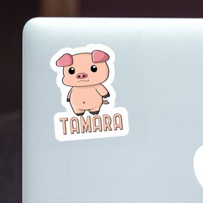 Tamara Aufkleber Schweinchen Laptop Image