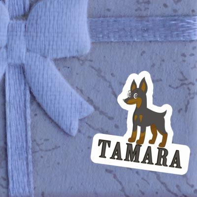 Aufkleber Pinscher Tamara Laptop Aufkleber Pinscher Tamara Laptop Image