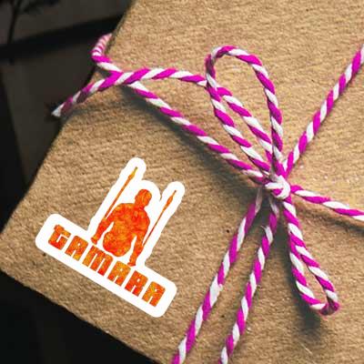 Autocollant Gymnaste aux anneaux Tamara Notebook Autocollant Gymnaste aux anneaux Tamara Gift package Image
